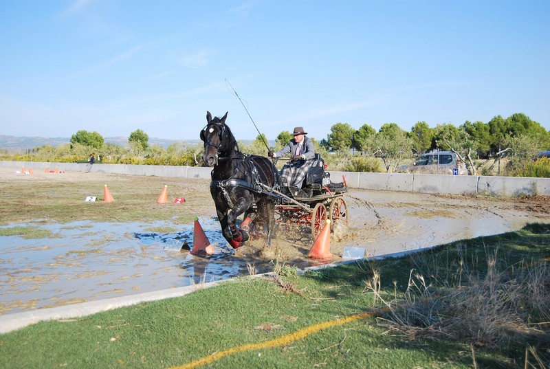 David Aramendía y Carmen Goiburu, Campeones Navarros de Enganches Completo en Troncos y Limoneras